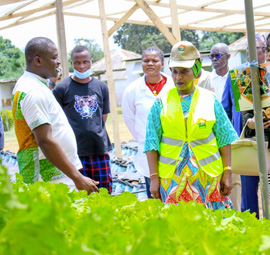 District Autonome des Lacs AGRICULTURE